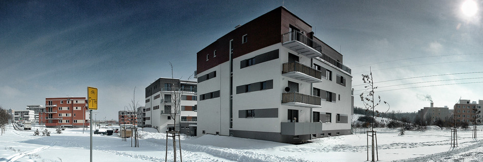 Milíčov Zima 2013
